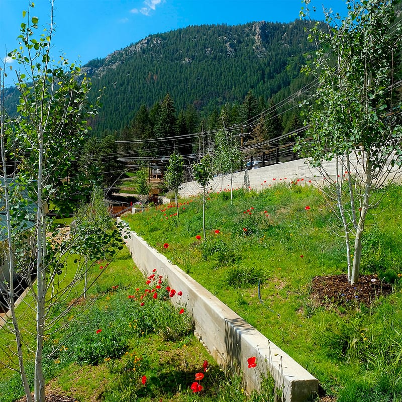 Aspen Grove & Tribute Walk
